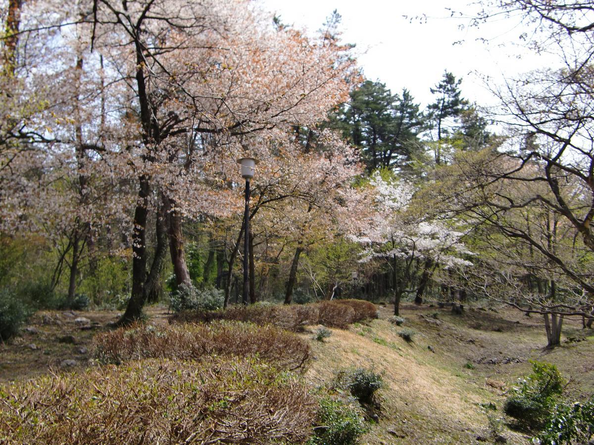 다이센 Hale Makawao B&B 외부 사진
