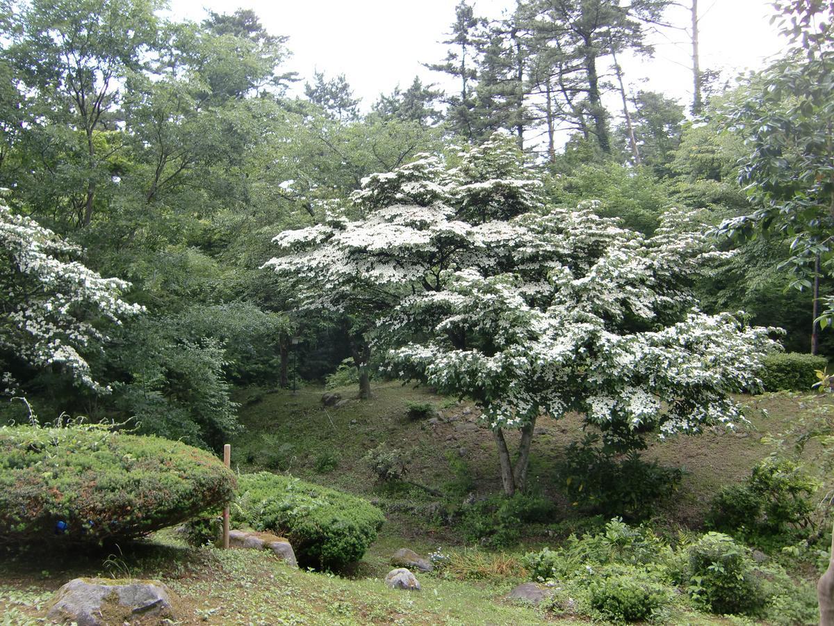 다이센 Hale Makawao B&B 외부 사진